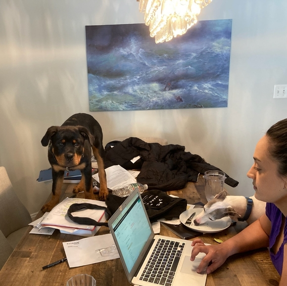 Meet your Posher, Maham - Picture 7 of 8